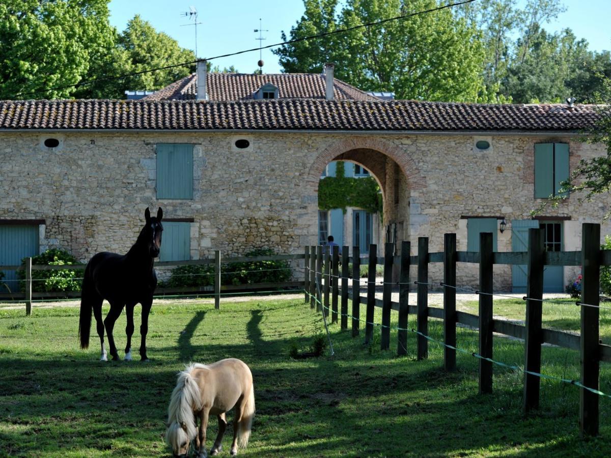 Chateau De L'Isle - Chambres D'Hotes Castelnau-de-Médoc Kültér fotó